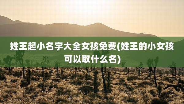 姓王起小名字大全女孩免费(姓王的小女孩可以取什么名)