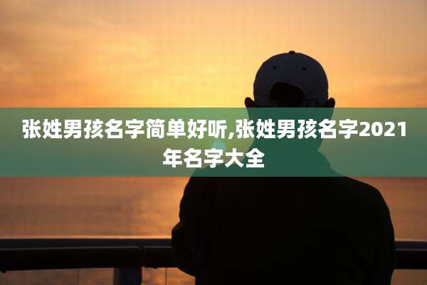 张姓男孩名字简单好听,张姓男孩名字2021年名字大全