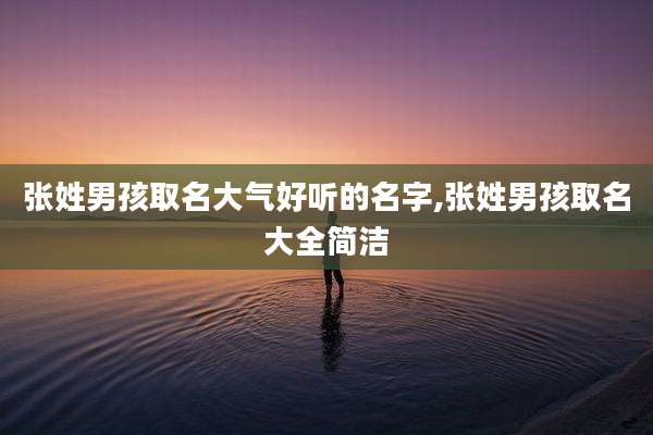 张姓男孩取名大气好听的名字,张姓男孩取名大全简洁