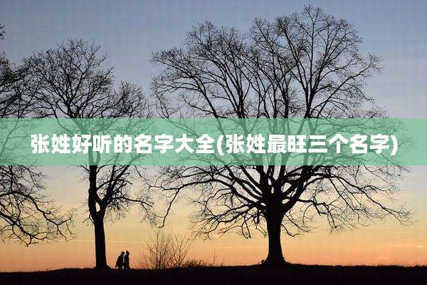 张姓好听的名字大全(张姓最旺三个名字)
