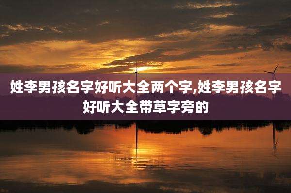 姓李男孩名字好听大全两个字,姓李男孩名字好听大全带草字旁的