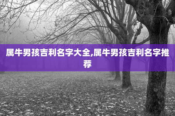 属牛男孩吉利名字大全,属牛男孩吉利名字推荐