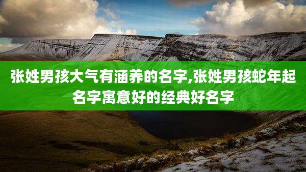 张姓男孩大气有涵养的名字,张姓男孩蛇年起名字寓意好的经典好名字