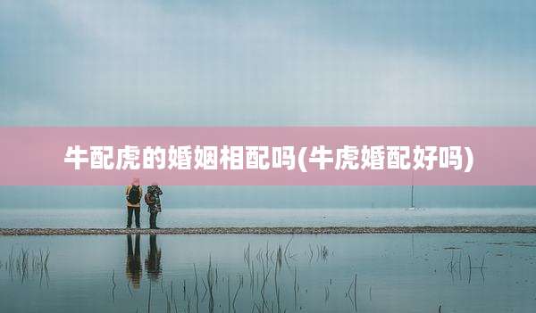 牛配虎的婚姻相配吗(牛虎婚配好吗)