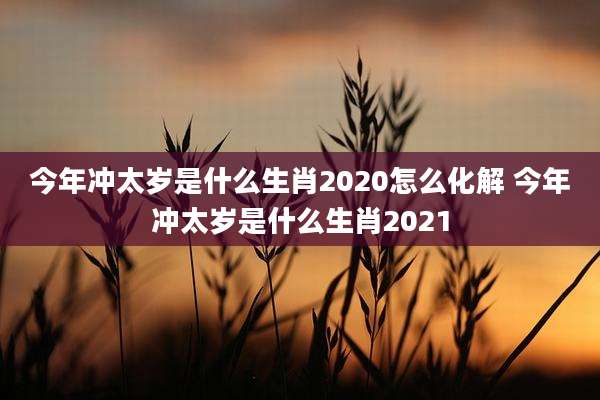 今年冲太岁是什么生肖2020怎么化解 今年冲太岁是什么生肖2021