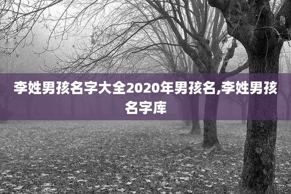 李姓男孩名字大全2020年男孩名,李姓男孩名字库