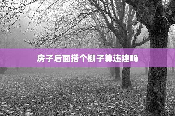房子后面搭个棚子算违建吗