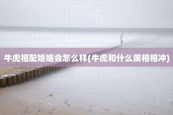 牛虎相配婚姻会怎么样(牛虎和什么属相相冲)
