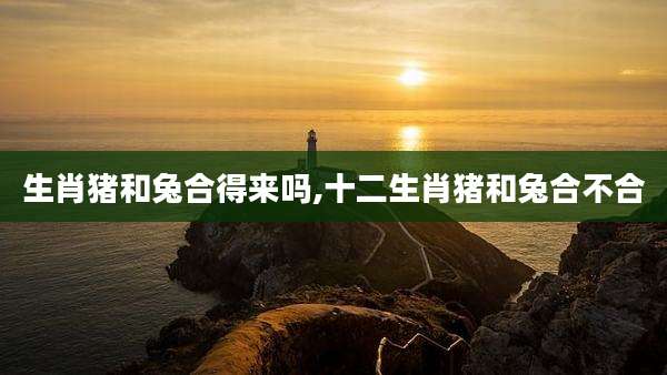 生肖猪和兔合得来吗,十二生肖猪和兔合不合