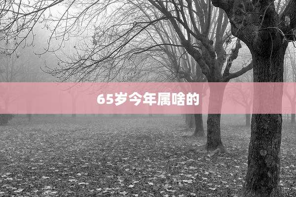 65岁今年属啥的