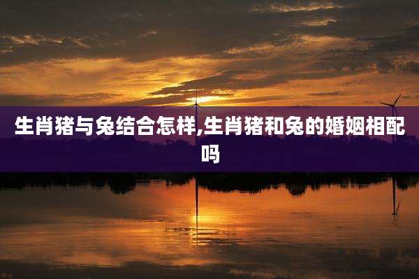 生肖猪与兔结合怎样,生肖猪和兔的婚姻相配吗