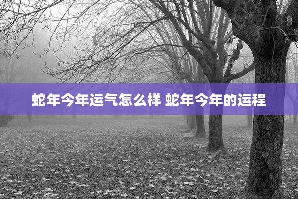 蛇年今年运气怎么样 蛇年今年的运程