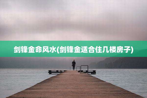 剑锋金命风水(剑锋金适合住几楼房子)