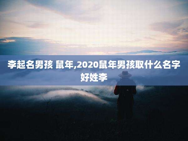 李起名男孩 鼠年,2020鼠年男孩取什么名字好姓李