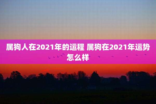 属狗人在2021年的运程 属狗在2021年运势怎么样