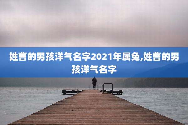 姓曹的男孩洋气名字2021年属兔,姓曹的男孩洋气名字