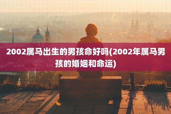 2002属马出生的男孩命好吗(2002年属马男孩的婚姻和命运)