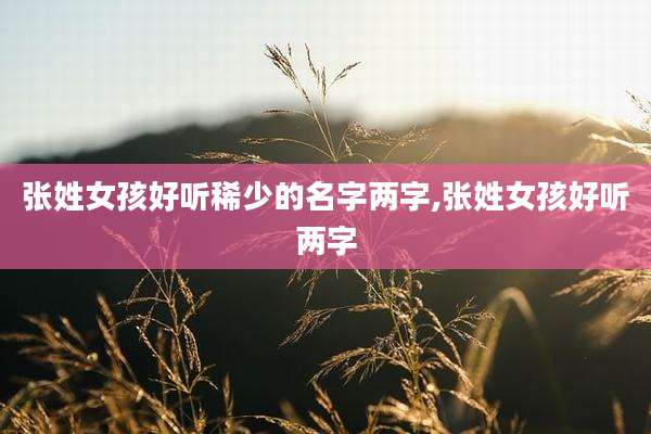 张姓女孩好听稀少的名字两字,张姓女孩好听两字