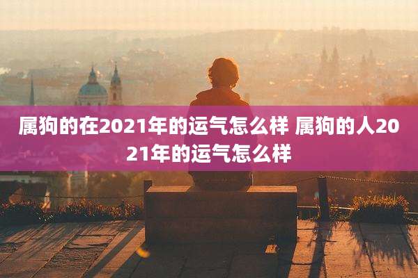 属狗的在2021年的运气怎么样 属狗的人2021年的运气怎么样