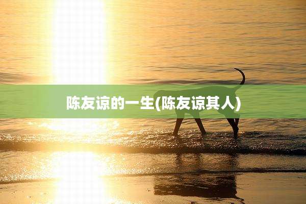 陈友谅的一生(陈友谅其人)