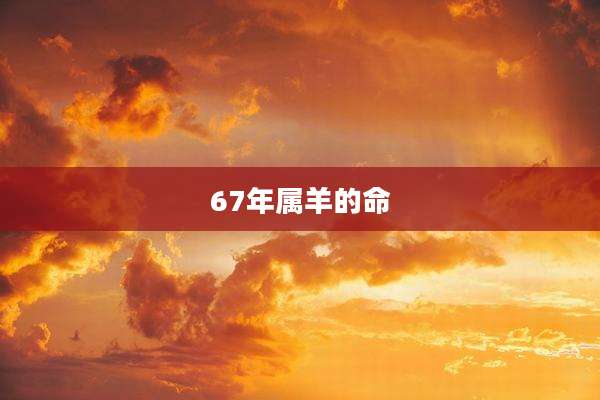 67年属羊的命