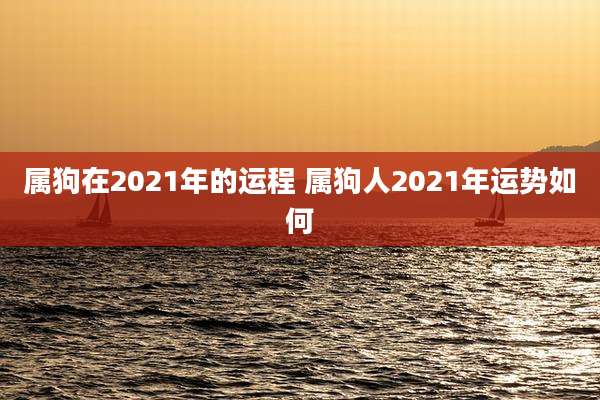 属狗在2021年的运程 属狗人2021年运势如何