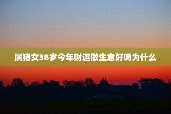 属猪女38岁今年财运做生意好吗为什么