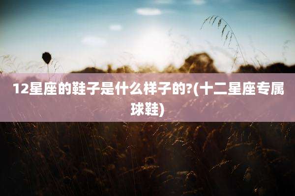 12星座的鞋子是什么样子的?(十二星座专属球鞋)