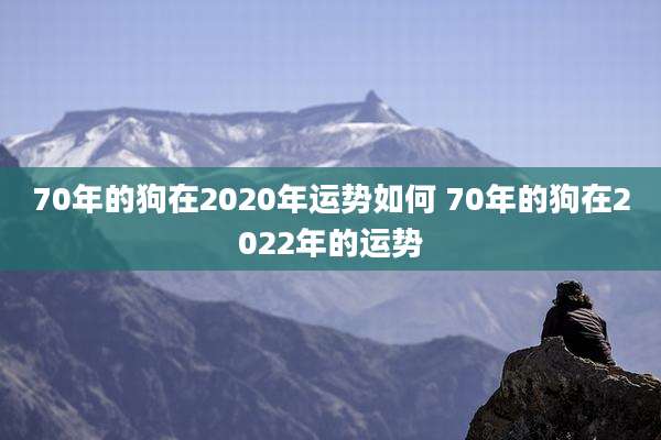 70年的狗在2020年运势如何 70年的狗在2022年的运势