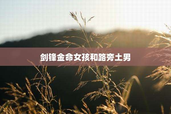 剑锋金命女孩和路旁土男