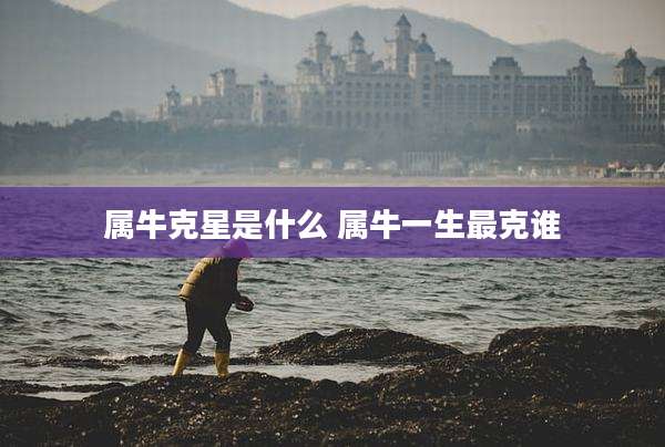 属牛克星是什么 属牛一生最克谁