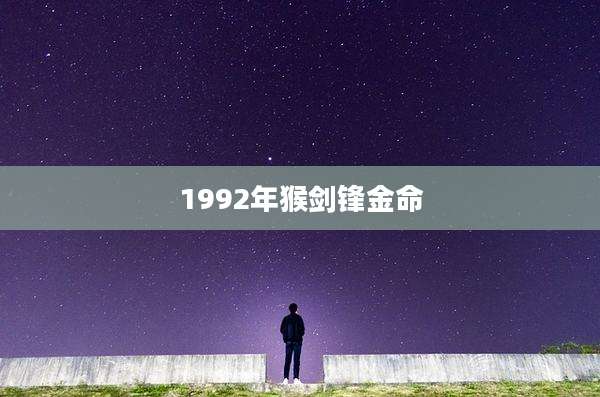 1992年猴剑锋金命