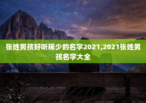 张姓男孩好听稀少的名字2021,2021张姓男孩名字大全