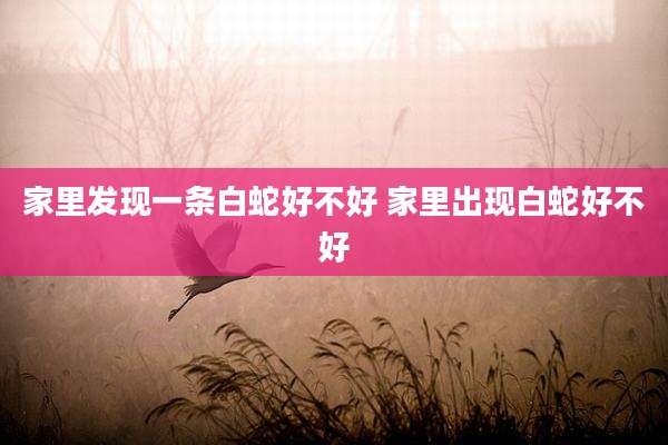 家里发现一条白蛇好不好 家里出现白蛇好不好