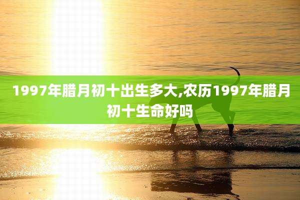 1997年腊月初十出生多大,农历1997年腊月初十生命好吗