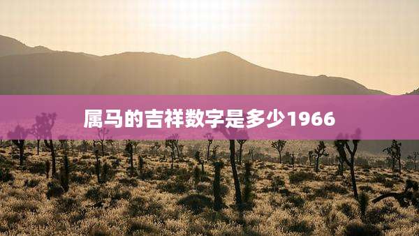 属马的吉祥数字是多少1966