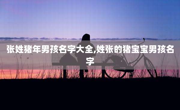张姓猪年男孩名字大全,姓张的猪宝宝男孩名字