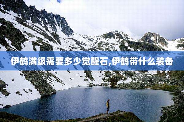 伊鹤满级需要多少觉醒石,伊鹤带什么装备