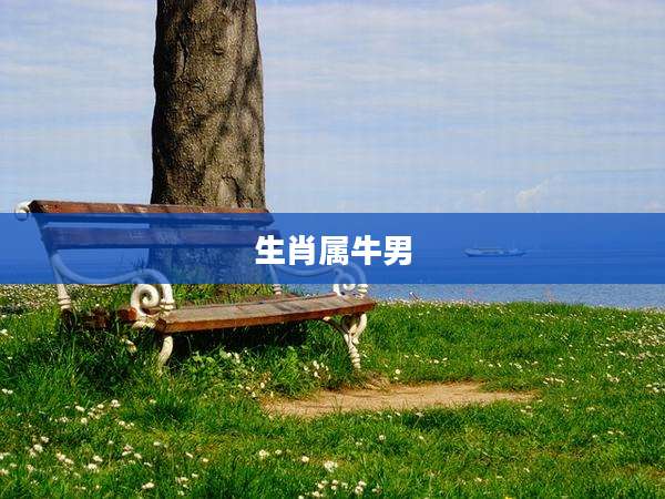 生肖属牛男