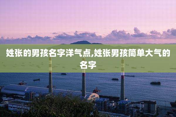 姓张的男孩名字洋气点,姓张男孩简单大气的名字