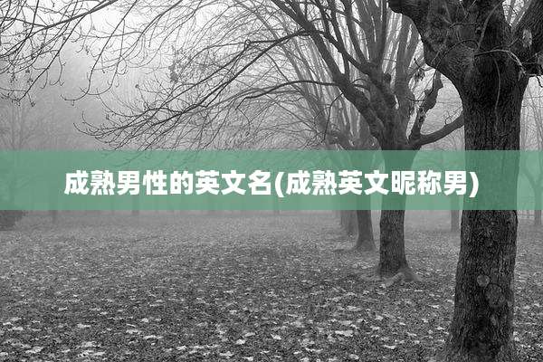 成熟男性的英文名(成熟英文昵称男)