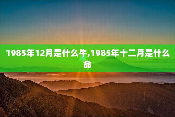 1985年12月是什么牛,1985年十二月是什么命