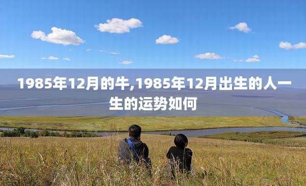 1985年12月的牛,1985年12月出生的人一生的运势如何