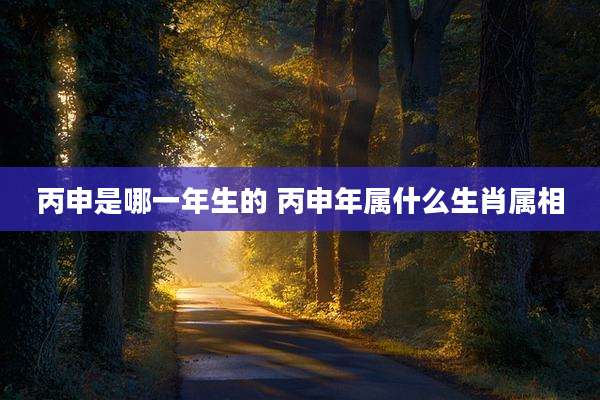 丙申是哪一年生的 丙申年属什么生肖属相