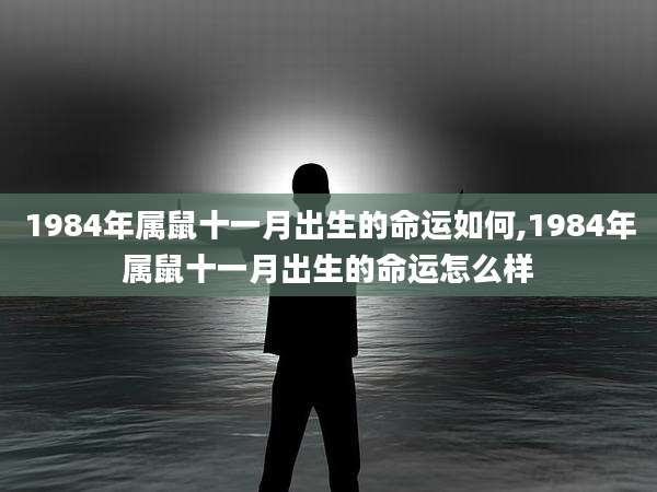 1984年属鼠十一月出生的命运如何,1984年属鼠十一月出生的命运怎么样