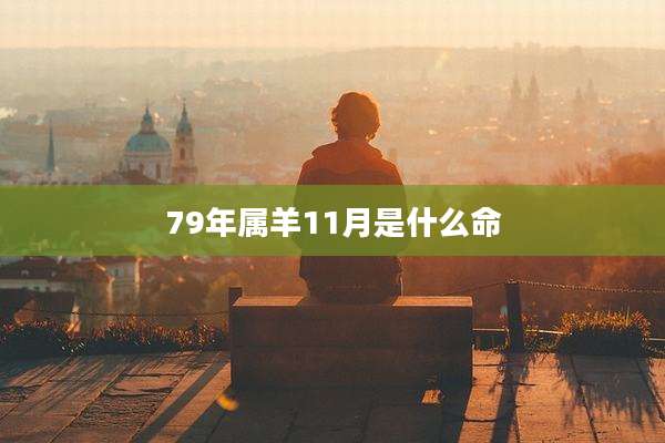 79年属羊11月是什么命
