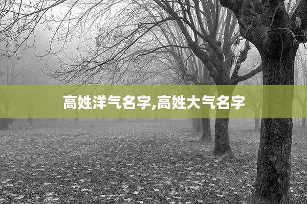 高姓洋气名字,高姓大气名字
