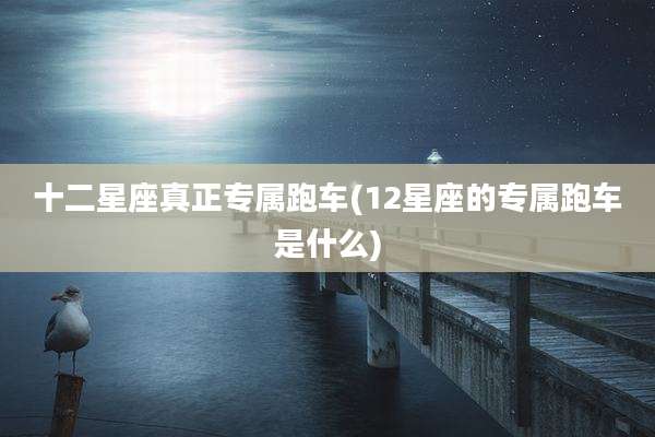 十二星座真正专属跑车(12星座的专属跑车是什么)