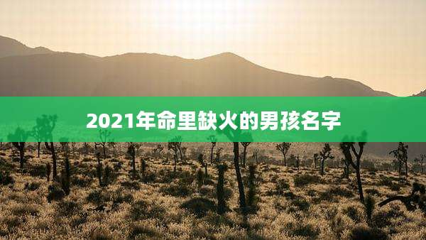 2021年命里缺火的男孩名字