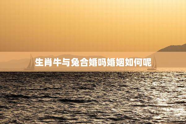 生肖牛与兔合婚吗婚姻如何呢